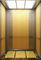 21 Persons Fuji Elevator , High Efficiency Lift Passenger Elevator